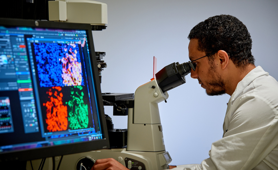 A MSU researcher looking into a microscope.