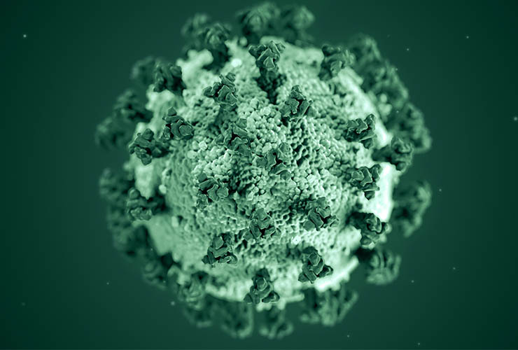 Photo of COVID-19 virus