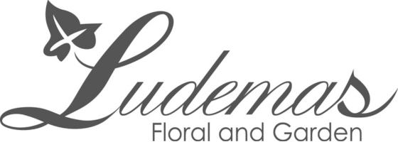 Ludemas logo