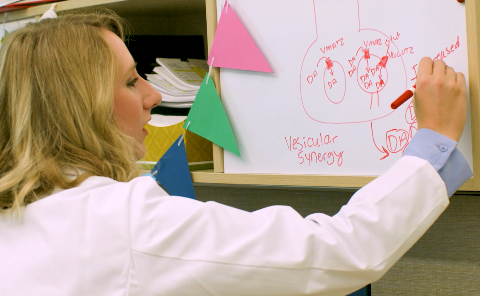 A blonde haired women scientist writing computations on a white board.