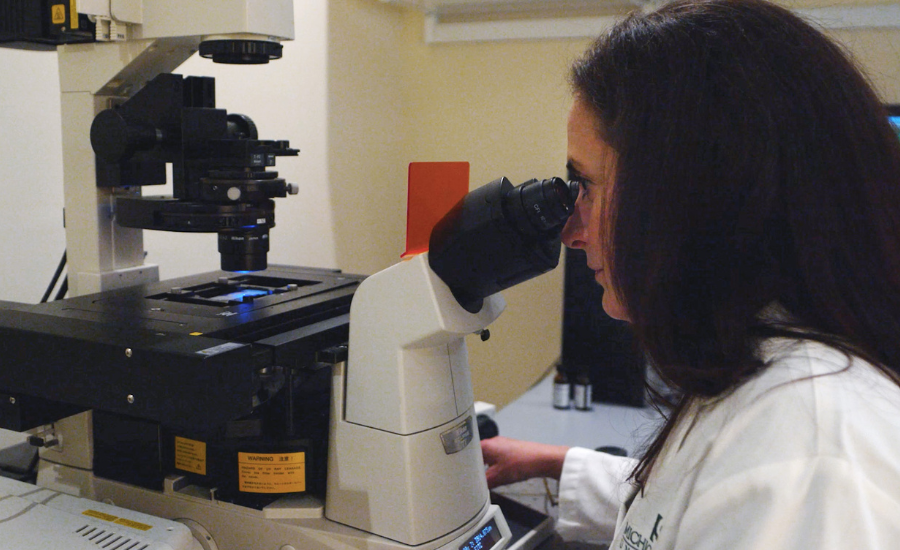 A woman looking into a piece of equipment in the Collier lab.