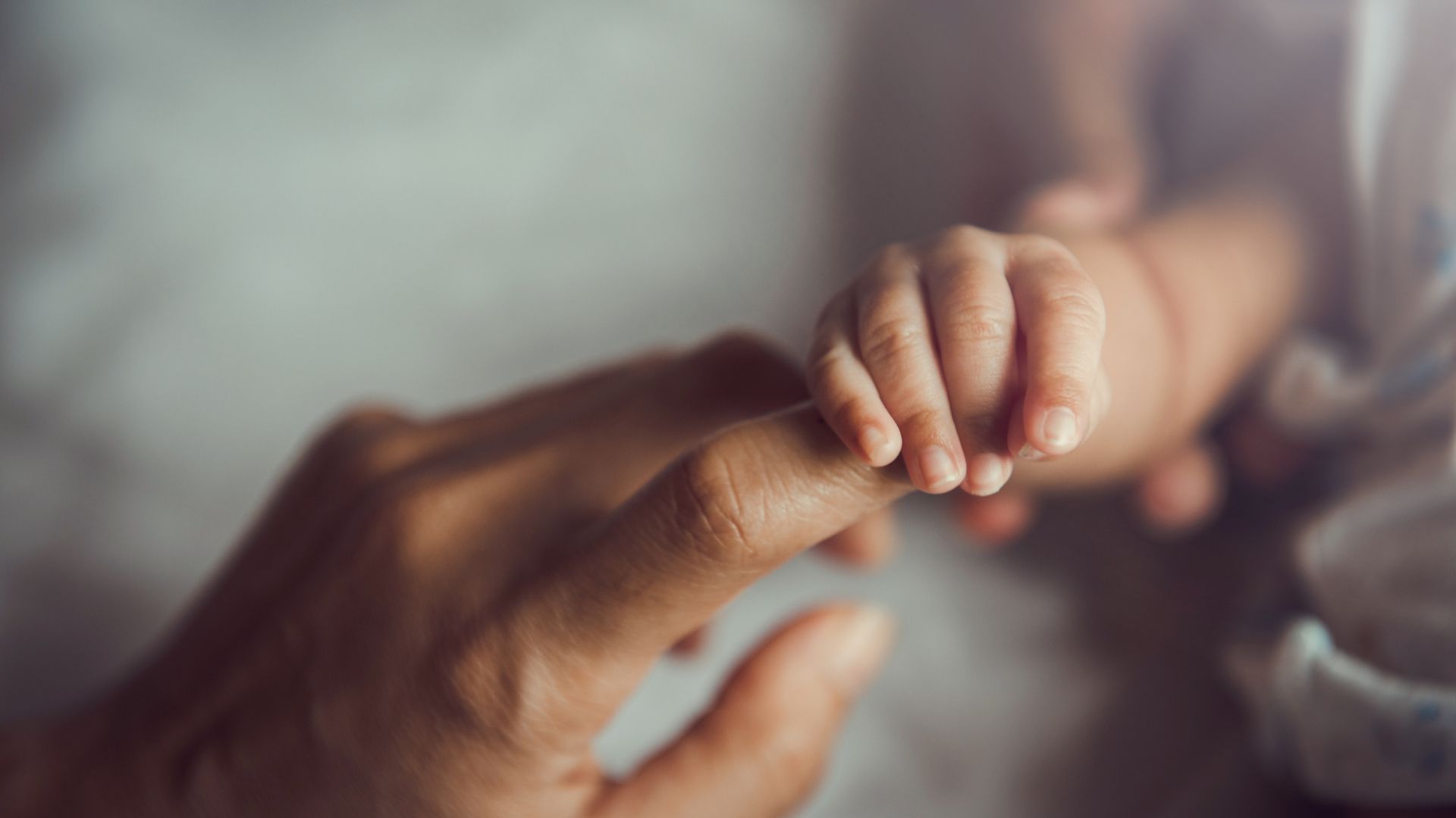 ROSE program cuts rates of postpartum depression in half while saving money | College of Human Medicine