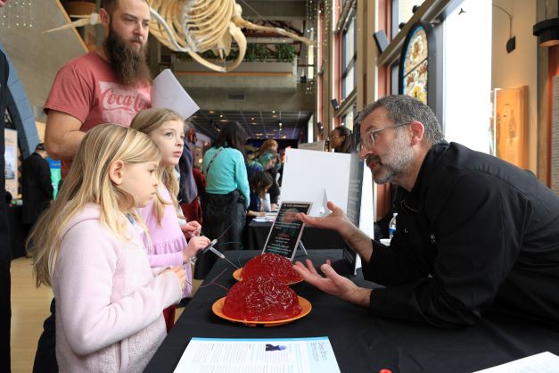 Neuroscience fair participant investigating a jelly brain.