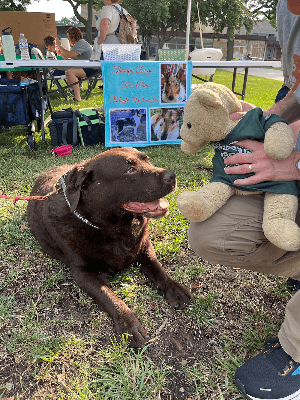 Nevaeh (a brown labrador retreiver), owned by College of Human Medicine staff member Sherrie Lenneman, with Capital Area Therapy Pets.