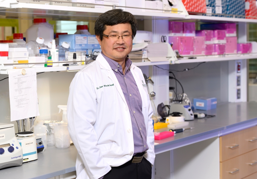 Jeong Receives $2.9 Million Nih Grant to Study Link Between Endometriosis and Infertility