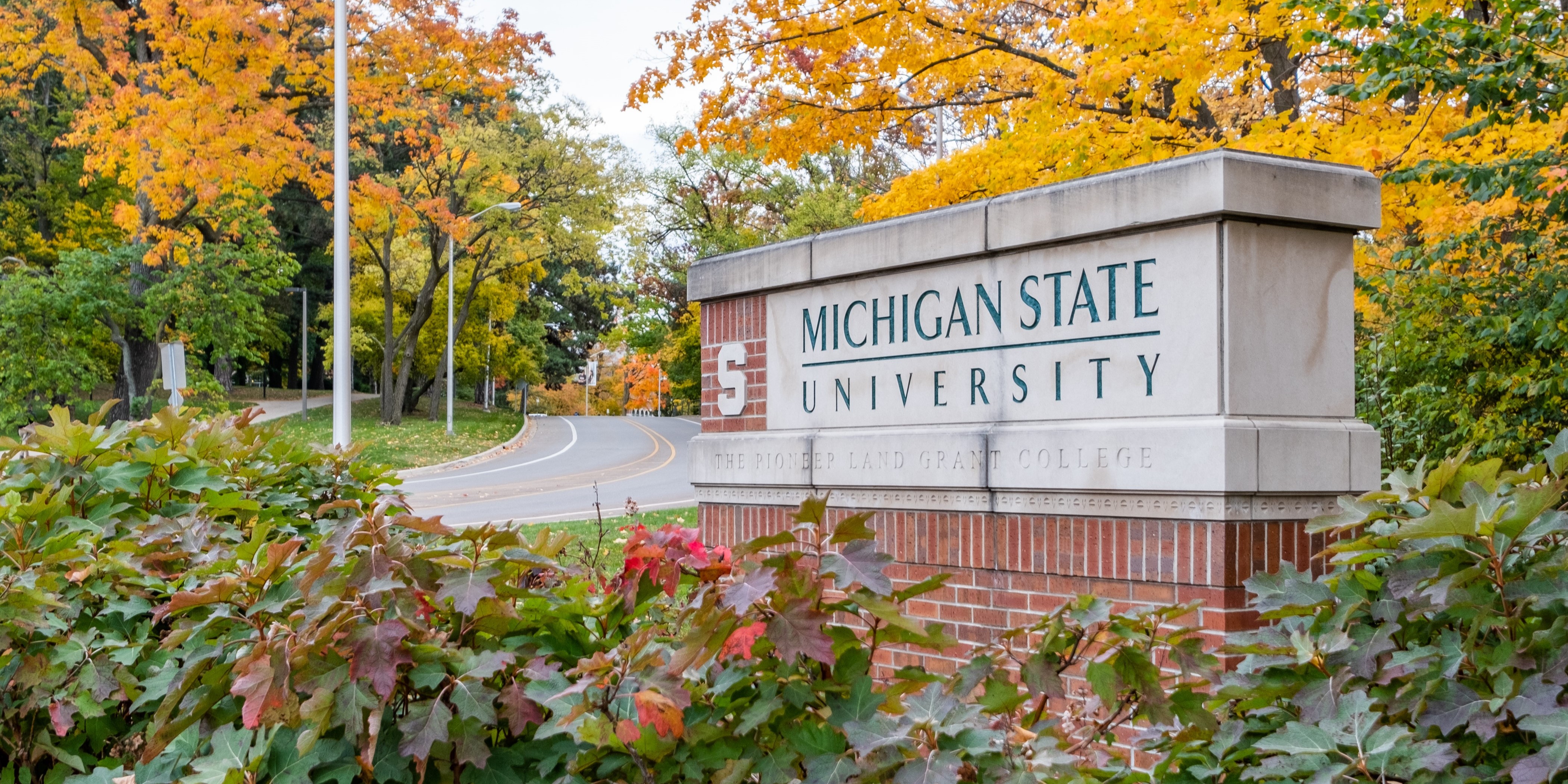 MSU Board of Trustees approves six new departments