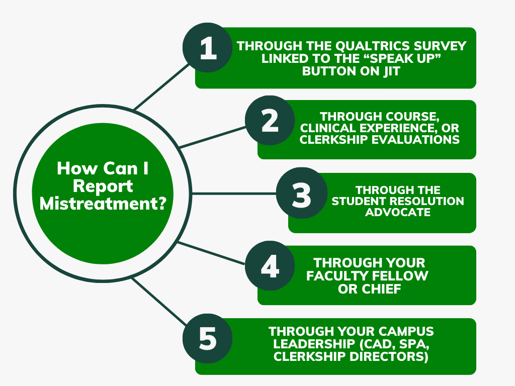 Avenues to Report Mistreatment infographic that gives the 5 steps listed on the website for reporting mistreatment.